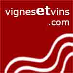 logo vignesetvins