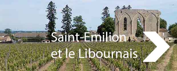 Saint-Emilion vineyard